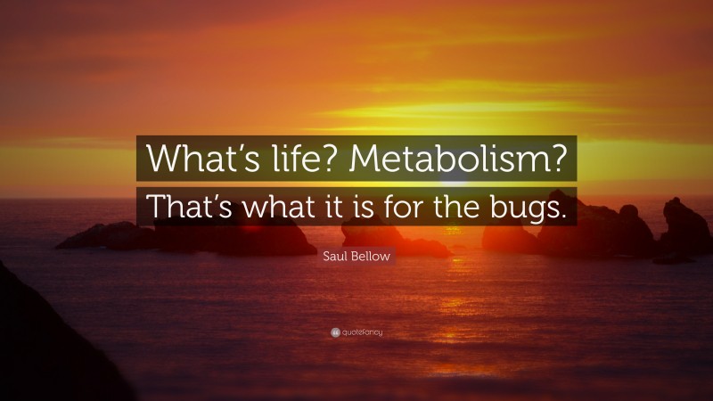 Saul Bellow Quote: “What’s life? Metabolism? That’s what it is for the bugs.”