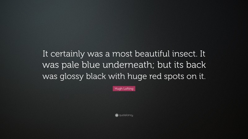 Hugh Lofting Quote: “It certainly was a most beautiful insect. It was pale blue underneath; but its back was glossy black with huge red spots on it.”