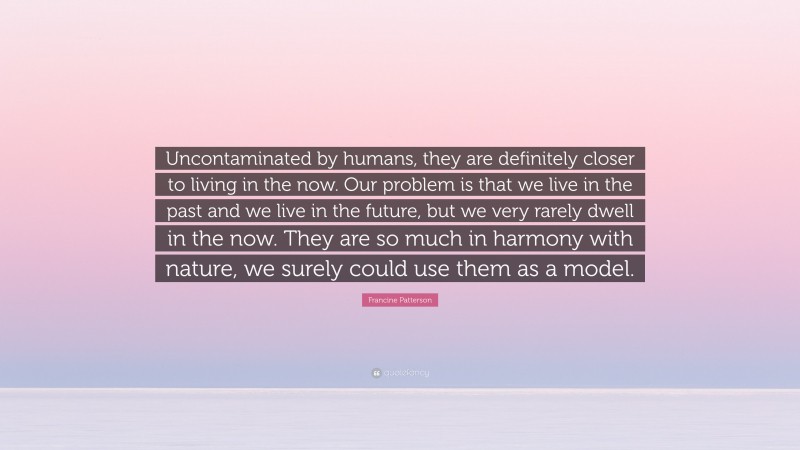 Francine Patterson Quote: “Uncontaminated by humans, they are definitely closer to living in the now. Our problem is that we live in the past and we live in the future, but we very rarely dwell in the now. They are so much in harmony with nature, we surely could use them as a model.”