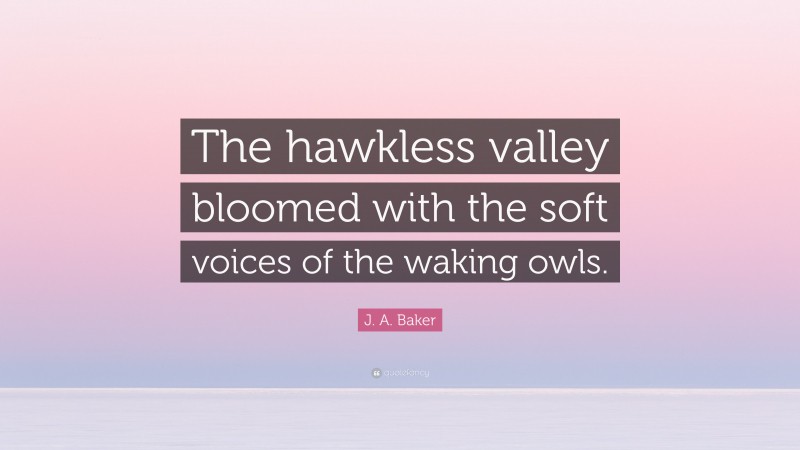 J. A. Baker Quote: “The hawkless valley bloomed with the soft voices of the waking owls.”