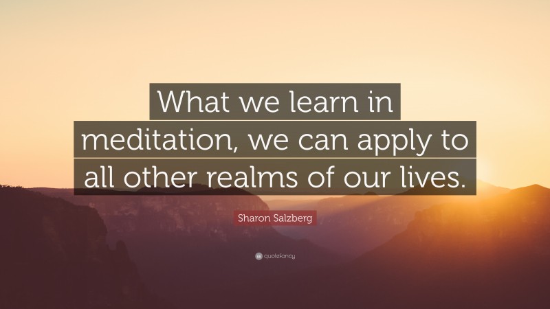 Sharon Salzberg Quote: “What we learn in meditation, we can apply to all other realms of our lives.”