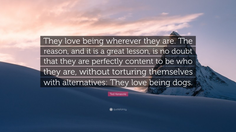 Ted Kerasote Quote: “They love being wherever they are. The reason, and it is a great lesson, is no doubt that they are perfectly content to be who they are, without torturing themselves with alternatives: They love being dogs.”