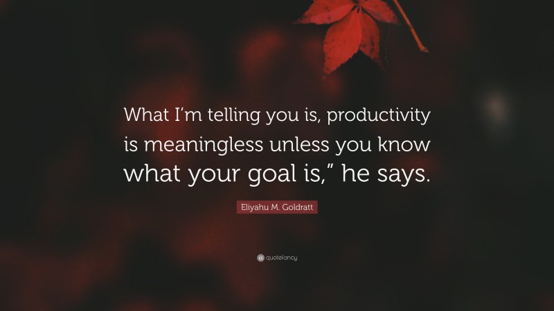 Eliyahu M. Goldratt Quote: “What I’m telling you is, productivity is meaningless unless you know what your goal is,” he says.”