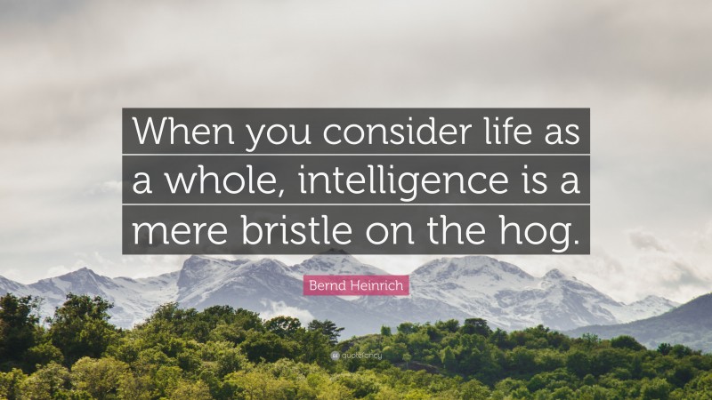 Bernd Heinrich Quote: “When you consider life as a whole, intelligence is a mere bristle on the hog.”