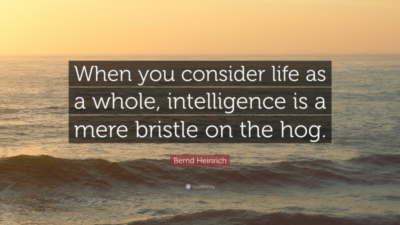 Bernd Heinrich Quote: “When you consider life as a whole, intelligence is a mere bristle on the hog.”