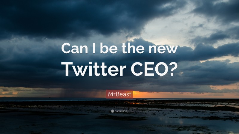 MrBeast Quote: “Can I be the new Twitter CEO?”