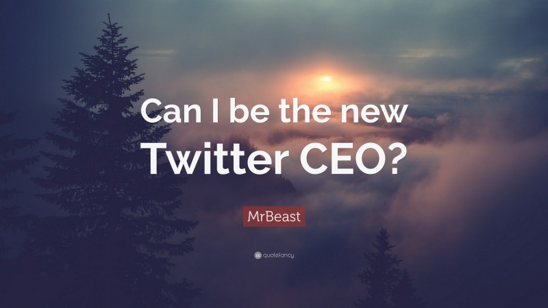 MrBeast Quote: “Can I be the new Twitter CEO?”