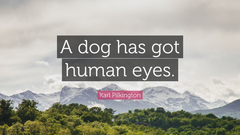 Karl Pilkington Quote: “A dog has got human eyes.”