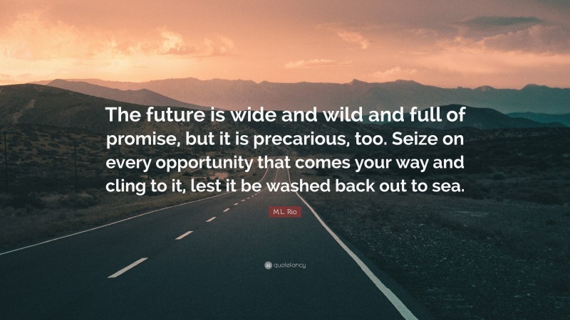 M.L. Rio Quote: “The future is wide and wild and full of promise, but it is precarious, too. Seize on every opportunity that comes your way and cling to it, lest it be washed back out to sea.”