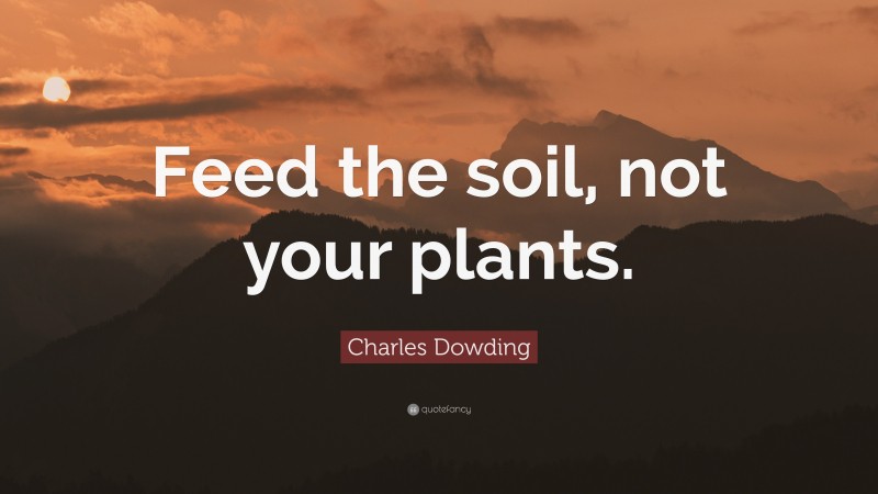 Charles Dowding Quote: “Feed the soil, not your plants.”