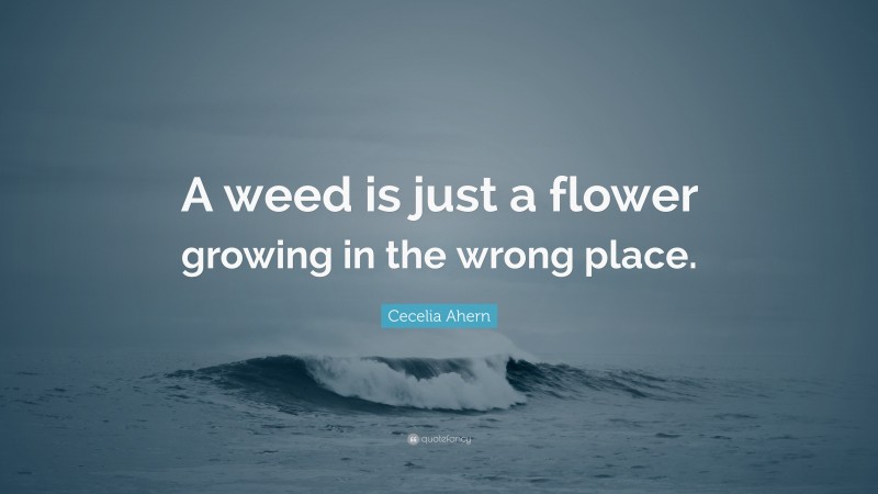 Cecelia Ahern Quote: “A weed is just a flower growing in the wrong place.”