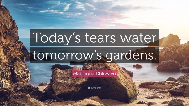 Matshona Dhliwayo Quote: “Today’s tears water tomorrow’s gardens.”