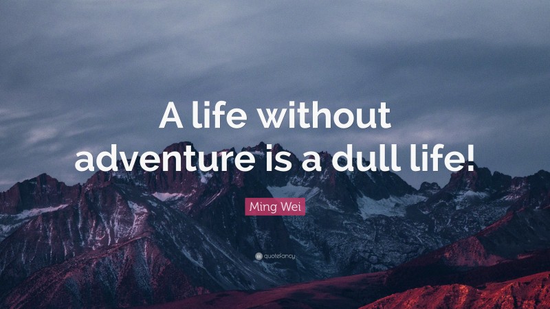 Ming Wei Quote: “A life without adventure is a dull life!”