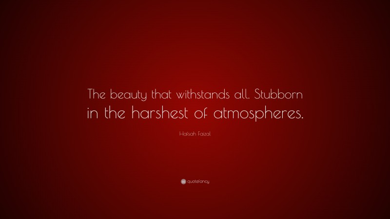 Hafsah Faizal Quote: “The beauty that withstands all. Stubborn in the harshest of atmospheres.”