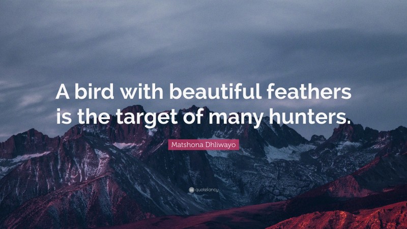 Matshona Dhliwayo Quote: “A bird with beautiful feathers is the target of many hunters.”