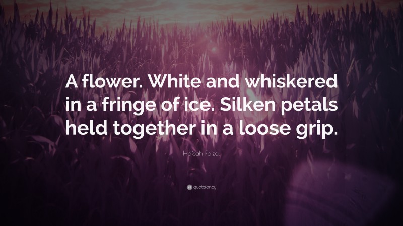Hafsah Faizal Quote: “A flower. White and whiskered in a fringe of ice. Silken petals held together in a loose grip.”