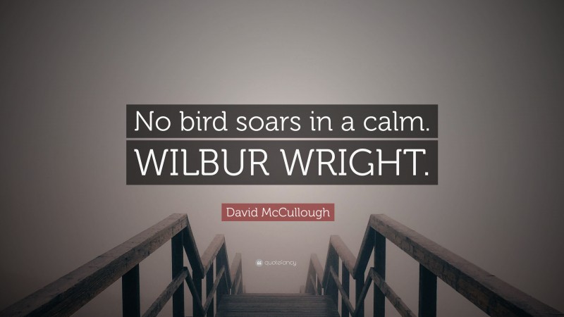 David McCullough Quote: “No bird soars in a calm. WILBUR WRIGHT.”