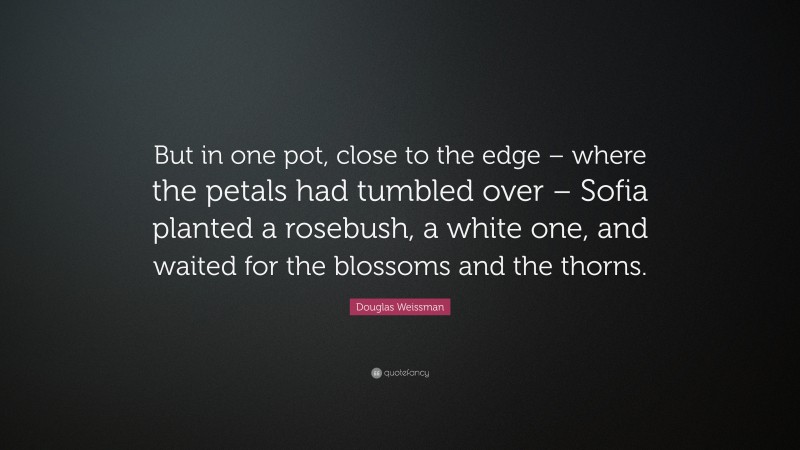 Douglas Weissman Quote: “But in one pot, close to the edge – where the petals had tumbled over – Sofia planted a rosebush, a white one, and waited for the blossoms and the thorns.”