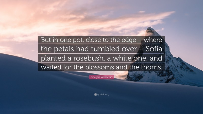 Douglas Weissman Quote: “But in one pot, close to the edge – where the petals had tumbled over – Sofia planted a rosebush, a white one, and waited for the blossoms and the thorns.”