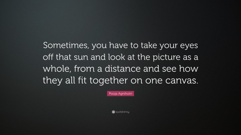 Pooja Agnihotri Quote: “Sometimes, you have to take your eyes off that sun and look at the picture as a whole, from a distance and see how they all fit together on one canvas.”