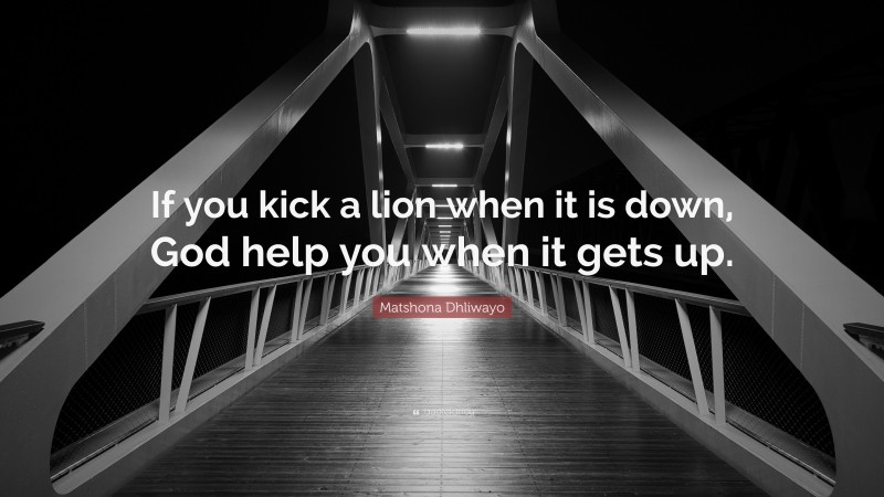 Matshona Dhliwayo Quote: “If you kick a lion when it is down, God help you when it gets up.”