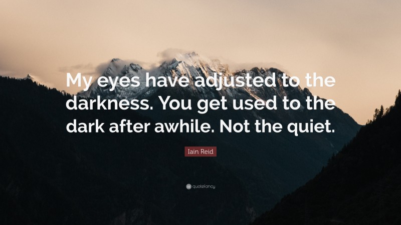 Iain Reid Quote: “My eyes have adjusted to the darkness. You get used to the dark after awhile. Not the quiet.”