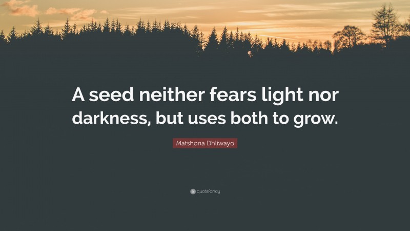 Matshona Dhliwayo Quote: “A seed neither fears light nor darkness, but uses both to grow.”