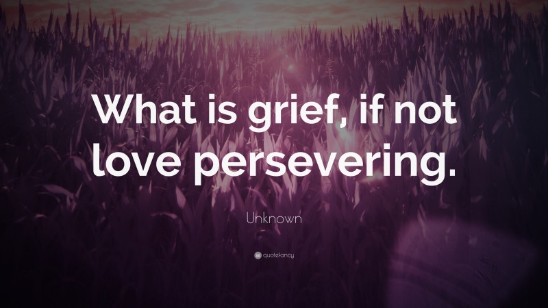 Unknown Quote: “What is grief, if not love persevering.”