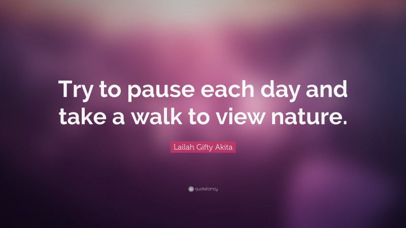 Lailah Gifty Akita Quote: “Try to pause each day and take a walk to view nature.”