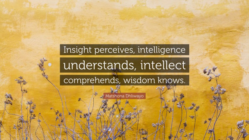 Matshona Dhliwayo Quote: “Insight perceives, intelligence understands, intellect comprehends, wisdom knows.”