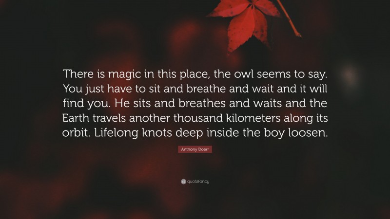 Anthony Doerr Quote: “There is magic in this place, the owl seems to say. You just have to sit and breathe and wait and it will find you. He sits and breathes and waits and the Earth travels another thousand kilometers along its orbit. Lifelong knots deep inside the boy loosen.”