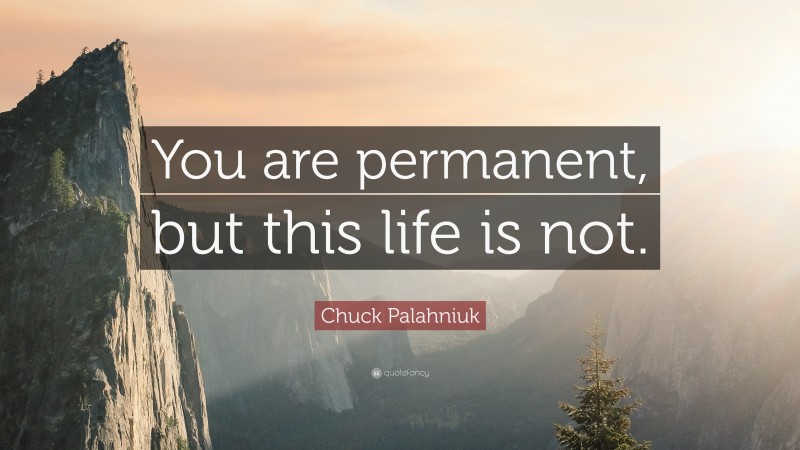 Chuck Palahniuk Quote: “You are permanent, but this life is not.”