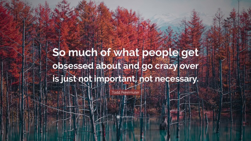 Todd Perelmuter Quote: “So much of what people get obsessed about and go crazy over is just not important, not necessary.”
