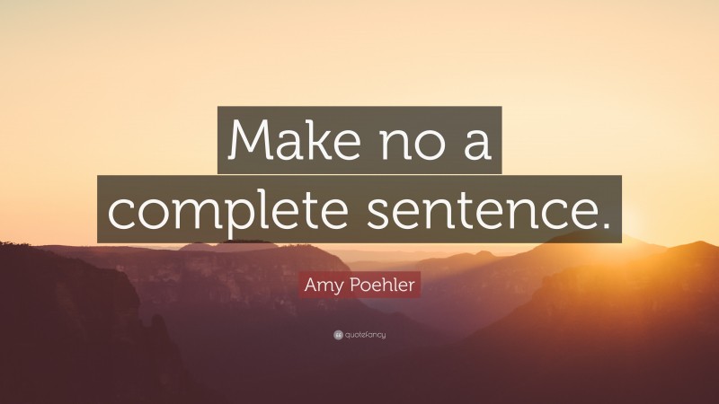 Amy Poehler Quote: “Make no a complete sentence.”
