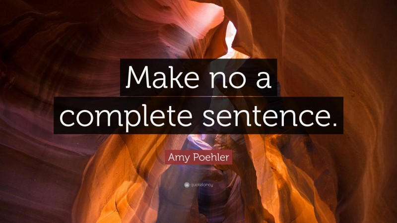 Amy Poehler Quote: “Make no a complete sentence.”