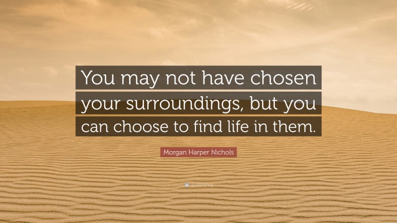 Morgan Harper Nichols Quote: “You may not have chosen your surroundings, but you can choose to find life in them.”
