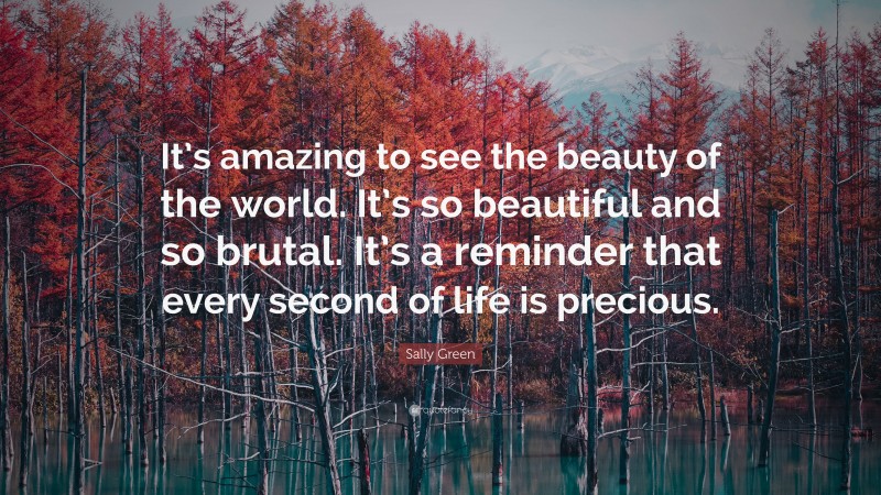 Sally Green Quote: “It’s amazing to see the beauty of the world. It’s so beautiful and so brutal. It’s a reminder that every second of life is precious.”