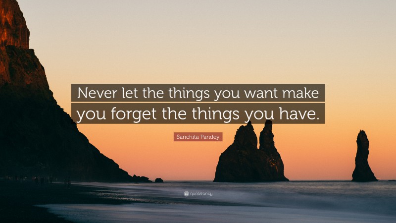 Sanchita Pandey Quote: “Never let the things you want make you forget the things you have.”