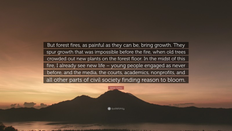 James Comey Quote: “But forest fires, as painful as they can be, bring growth. They spur growth that was impossible before the fire, when old trees crowded out new plants on the forest floor. In the midst of this fire, I already see new life – young people engaged as never before, and the media, the courts, academics, nonprofits, and all other parts of civil society finding reason to bloom.”