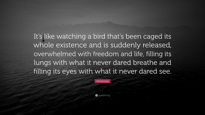 Velvetoscar Quote: “It’s like watching a bird that’s been caged its whole existence and is suddenly released, overwhelmed with freedom and life, filling its lungs with what it never dared breathe and filling its eyes with what it never dared see.”