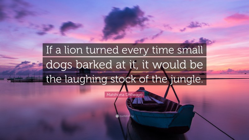 Matshona Dhliwayo Quote: “If a lion turned every time small dogs barked at it, it would be the laughing stock of the jungle.”