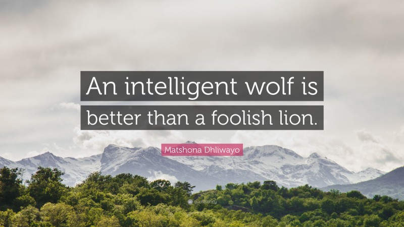 Matshona Dhliwayo Quote: “An intelligent wolf is better than a foolish lion.”