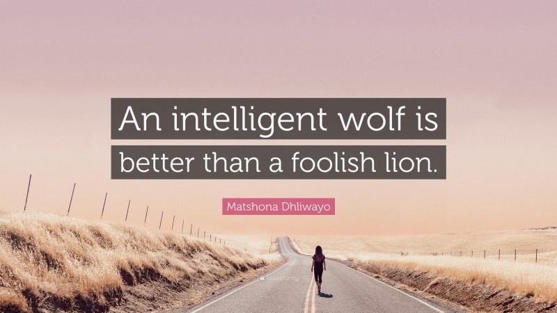 Matshona Dhliwayo Quote: “An intelligent wolf is better than a foolish lion.”