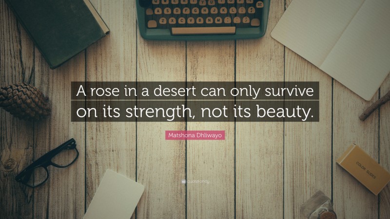 Matshona Dhliwayo Quote: “A rose in a desert can only survive on its strength, not its beauty.”