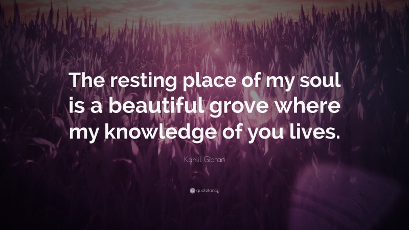 Kahlil Gibran Quote: “The resting place of my soul is a beautiful grove where my knowledge of you lives.”