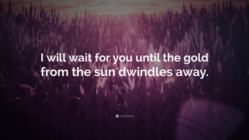 H.S. Crow Quote: “I will wait for you until the gold from the sun dwindles away.”