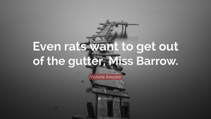 Victoria Aveyard Quote: “Even rats want to get out of the gutter, Miss Barrow.”