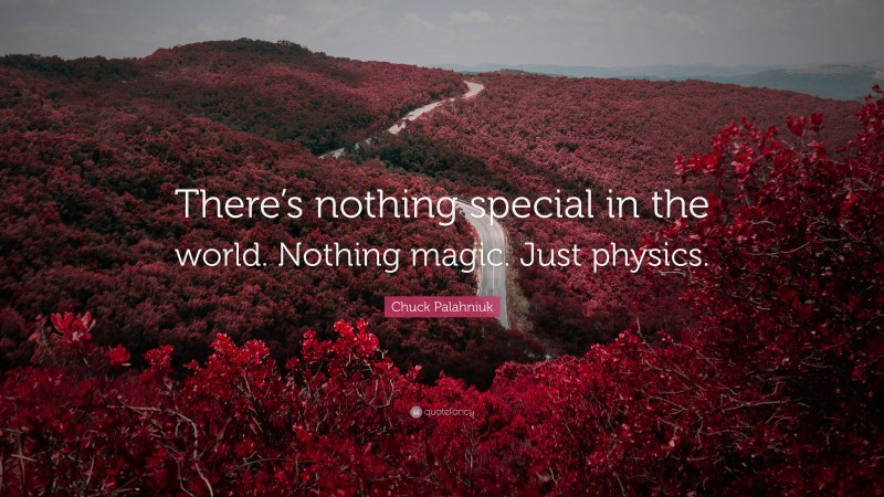 Chuck Palahniuk Quote: “There’s nothing special in the world. Nothing magic. Just physics.”