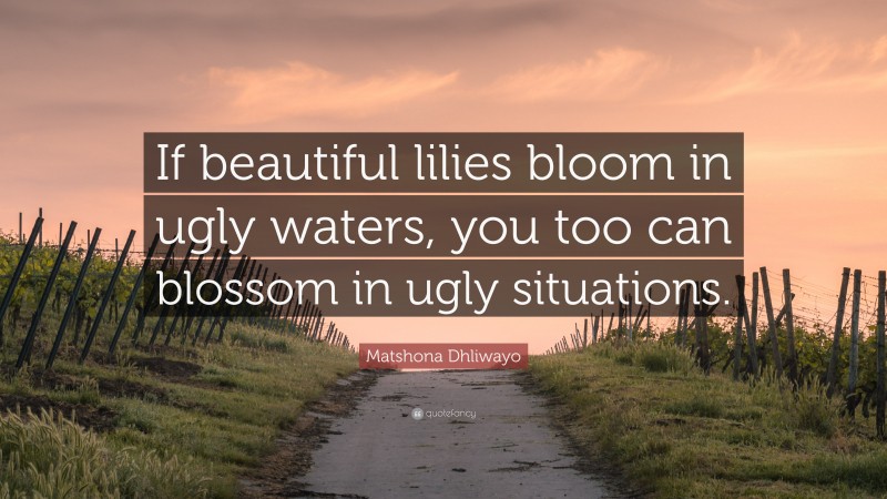 Matshona Dhliwayo Quote: “If beautiful lilies bloom in ugly waters, you too can blossom in ugly situations.”