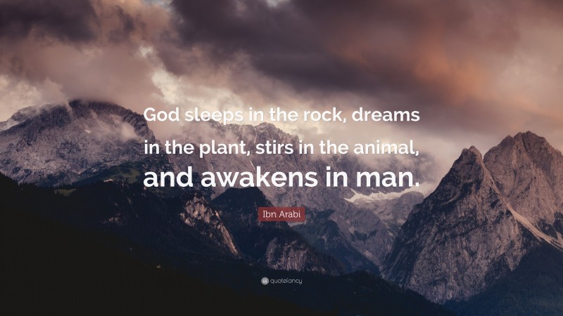 Ibn Arabi Quote: “God sleeps in the rock, dreams in the plant, stirs in the animal, and awakens in man.”